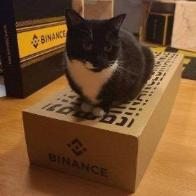 binance cat 代币图片