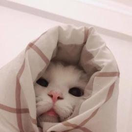 Hello 代币图片