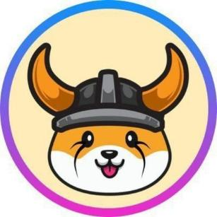 FLOKI INU 代币图片