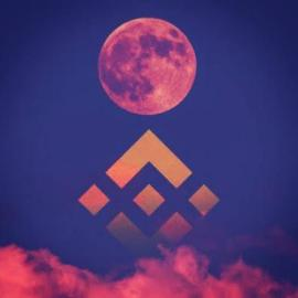 To The Moon 代币图片